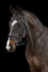 Schocemohle Monza Bridle
