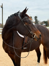 Millbrook Freedom Bridle