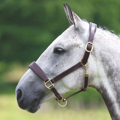 Velociti GARA Leather Travel Headcollar