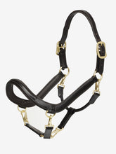 LeMieux Leather Grooming Headcollar