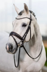 Classic Dressage Bridle Brown Full