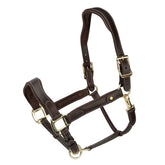 Velociti Lorca Leather Headcollar
