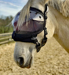 Padding Set for Recovery Vizor