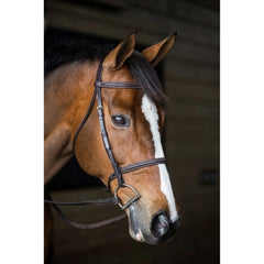 GATSBY FANCY STITCHED RAISED ENGLISH BRIDLE