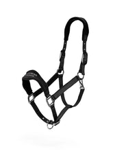 Anatomic Fleece Halter