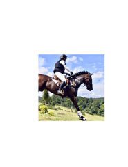 The Tailored Sportsman SunShirt