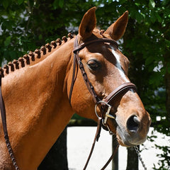 Antares Origin Hunter Bridle - Brown