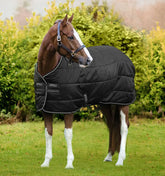 Amigo Ripstop Insulator Stable 200G