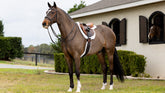 Merino+ Hunter Saddle Pad