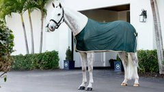 LeMieux Ring Side Scrim - Green