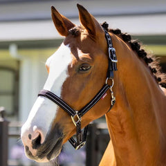 Essential Yard Headcollar