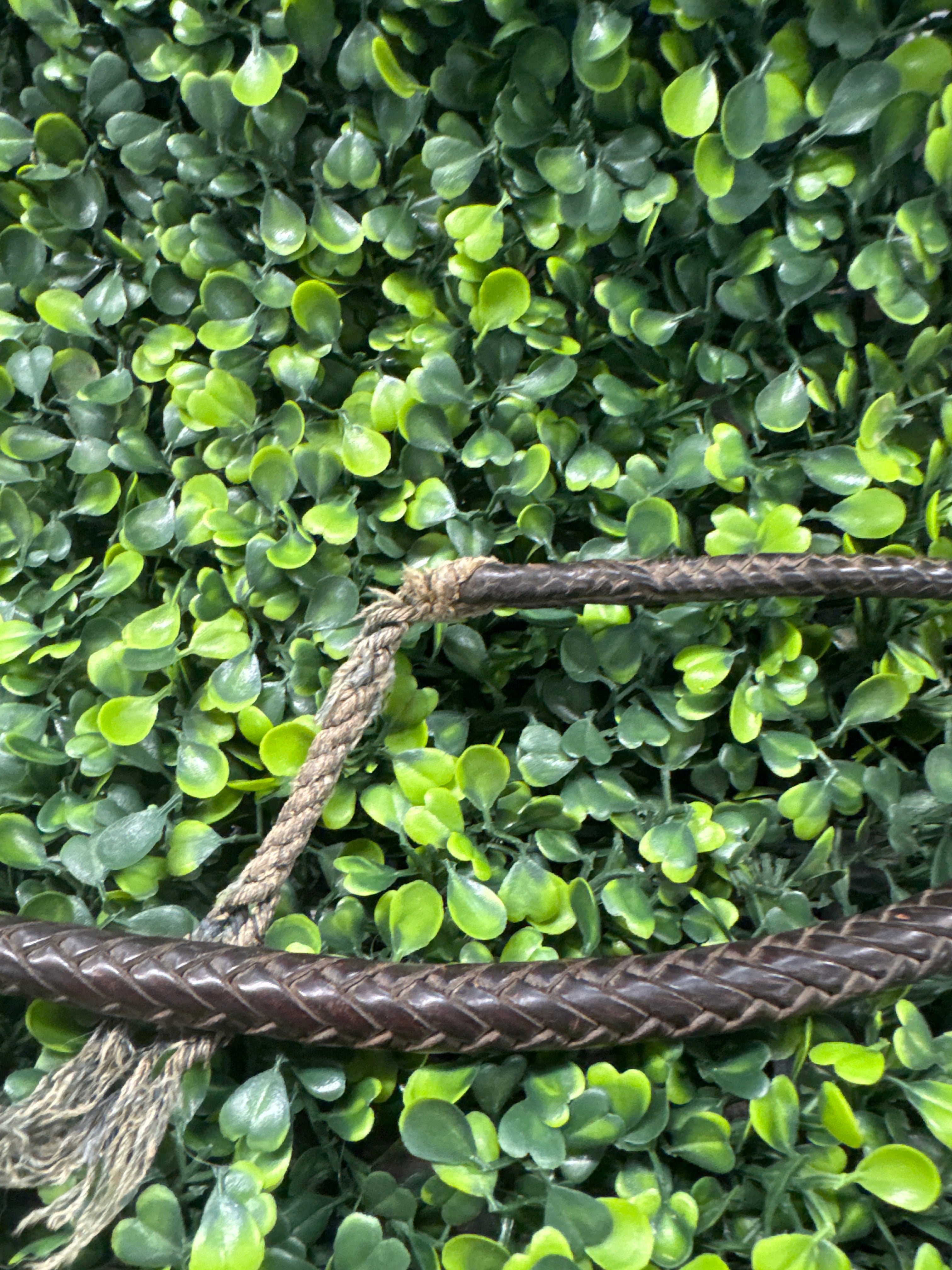 ZAIR Hunting Whip - FIRM
