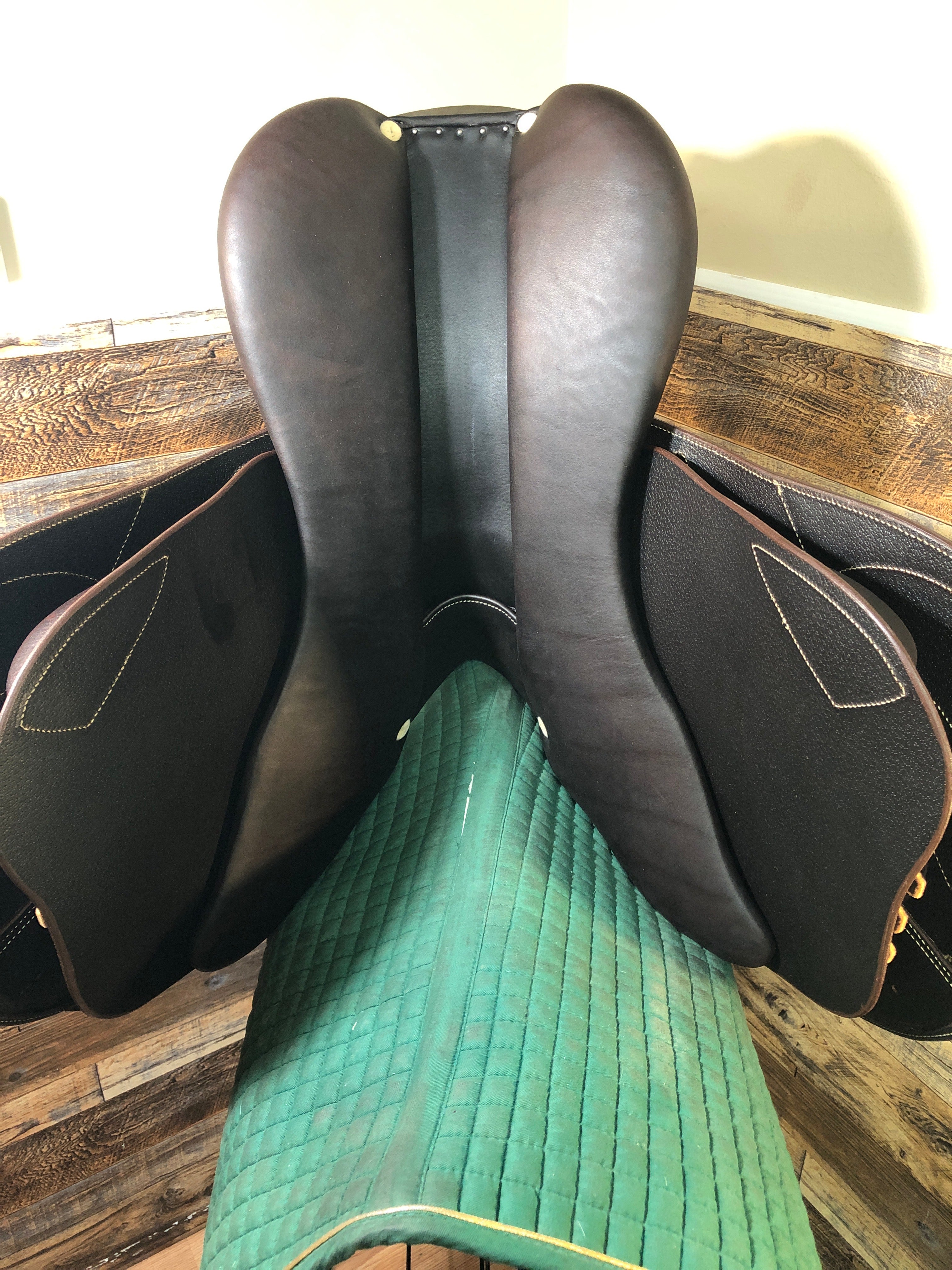 18" Antares Signature Jumping Saddle NEW ABS TREE IGP