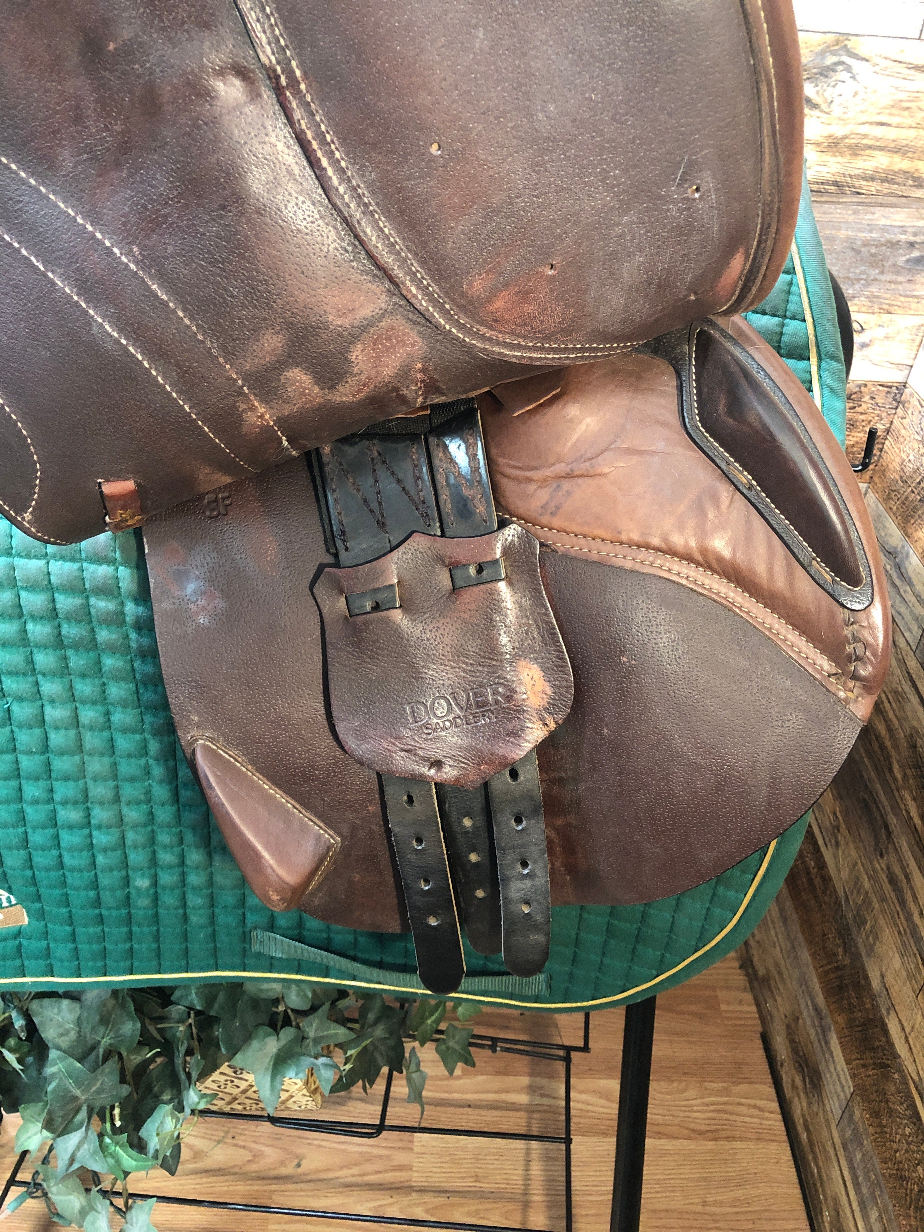 17.5" Dover Circuit Premier Saddle