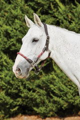 Kincade Leather Rope Halter