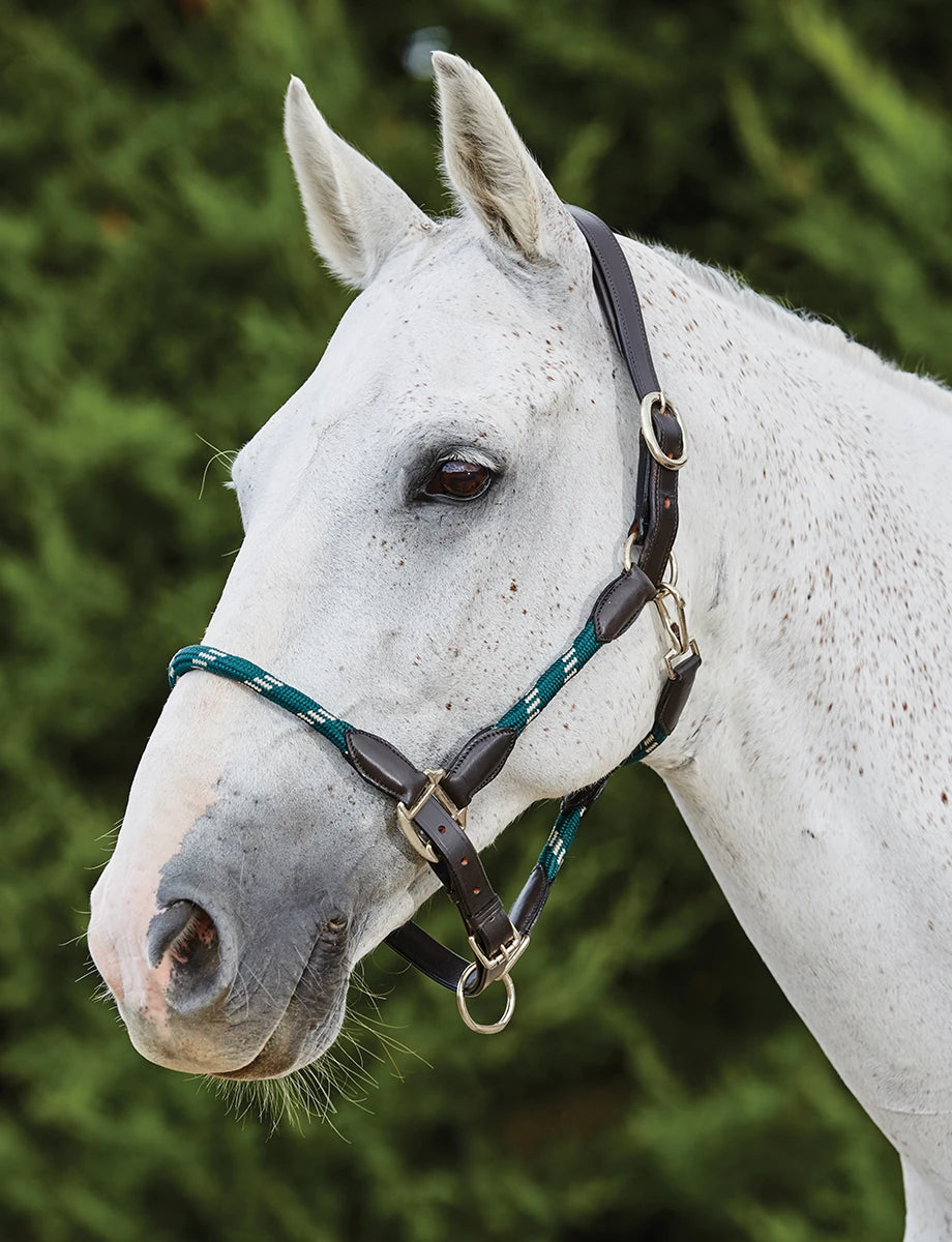 Kincade Leather Rope Halter