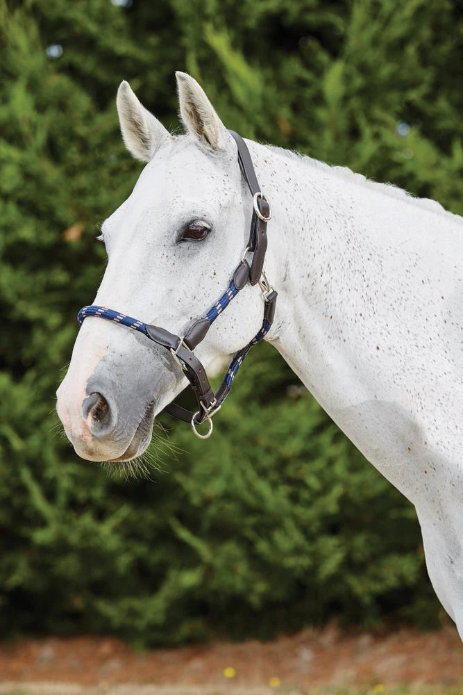 Kincade Leather Rope Halter