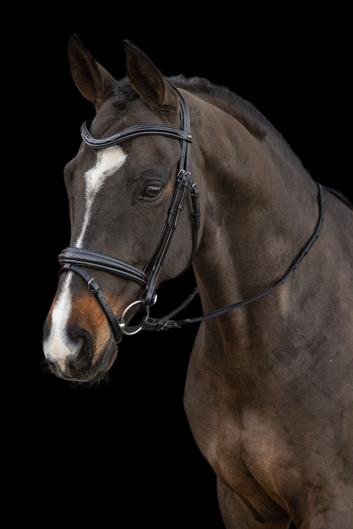 Schocemohle Monza Bridle