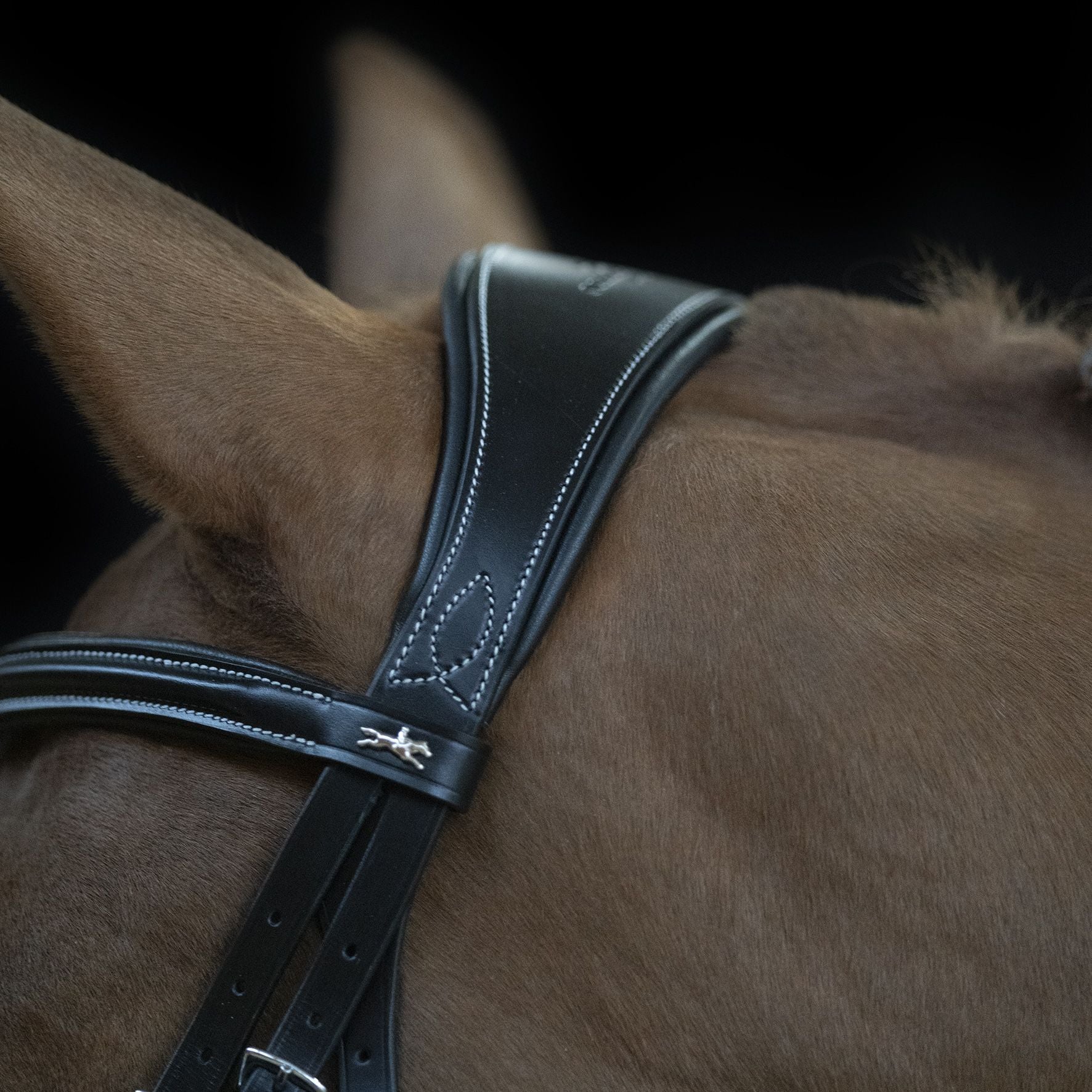 Schocemohle Monza Bridle