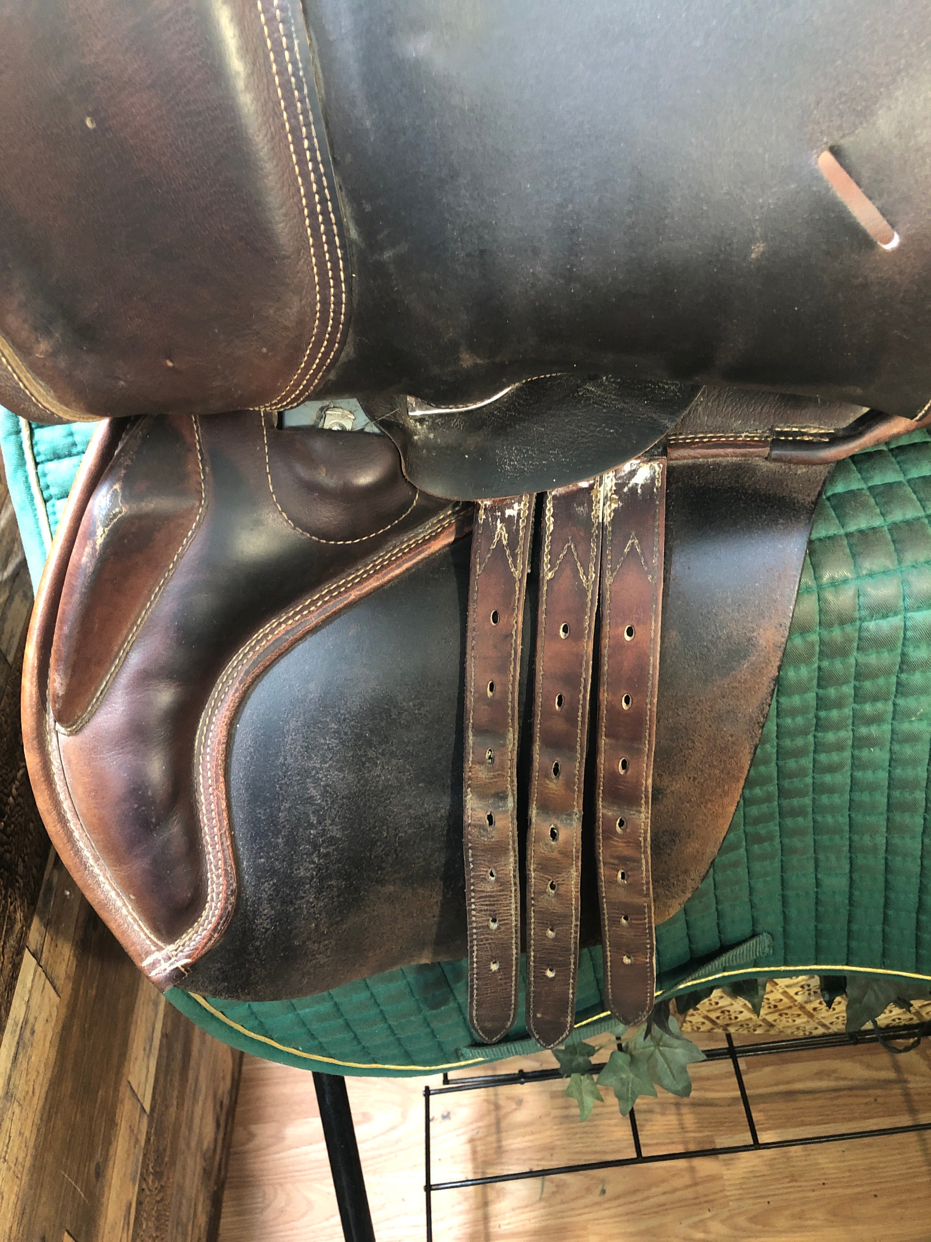 17.5" Collegiate Close Contact Saddle