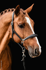 Schocemohle Halter Frisco