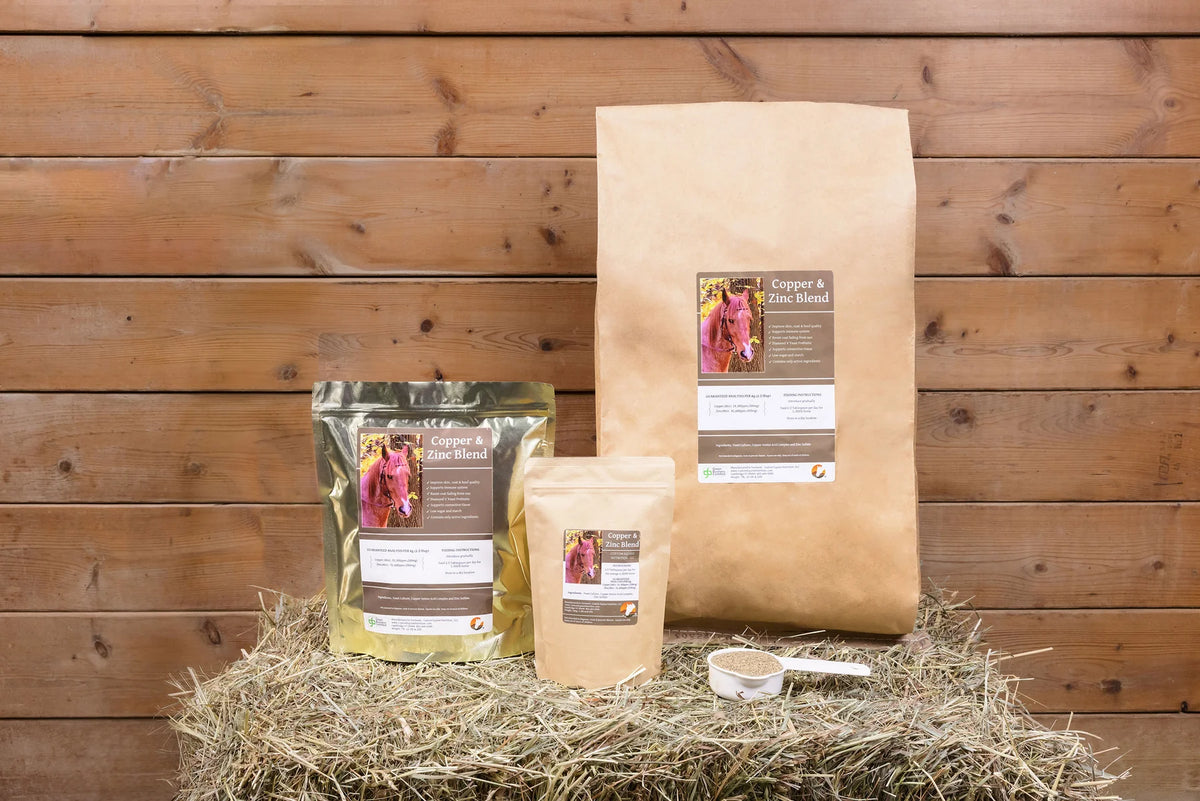 Custom Equine COPPER & ZINC BLEND