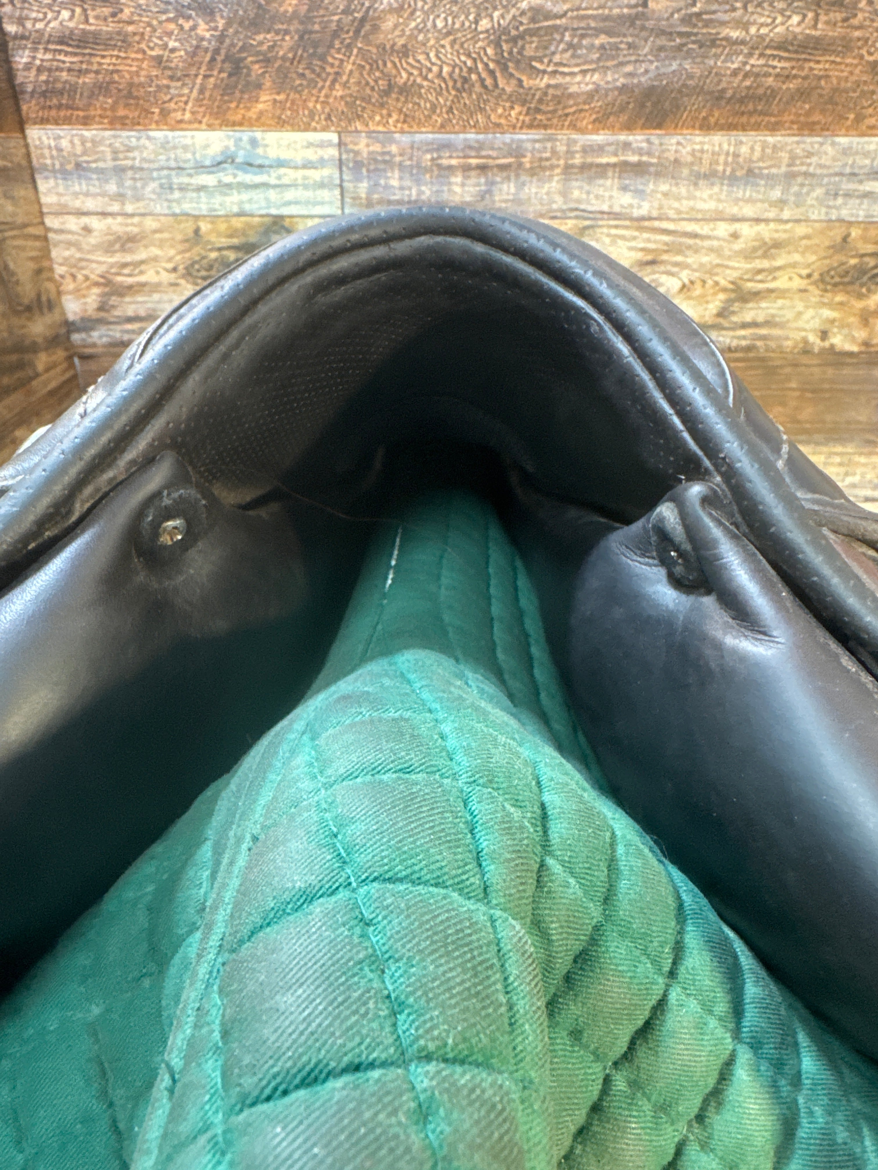 18" Presitge X-Breath CC Saddle (2018)