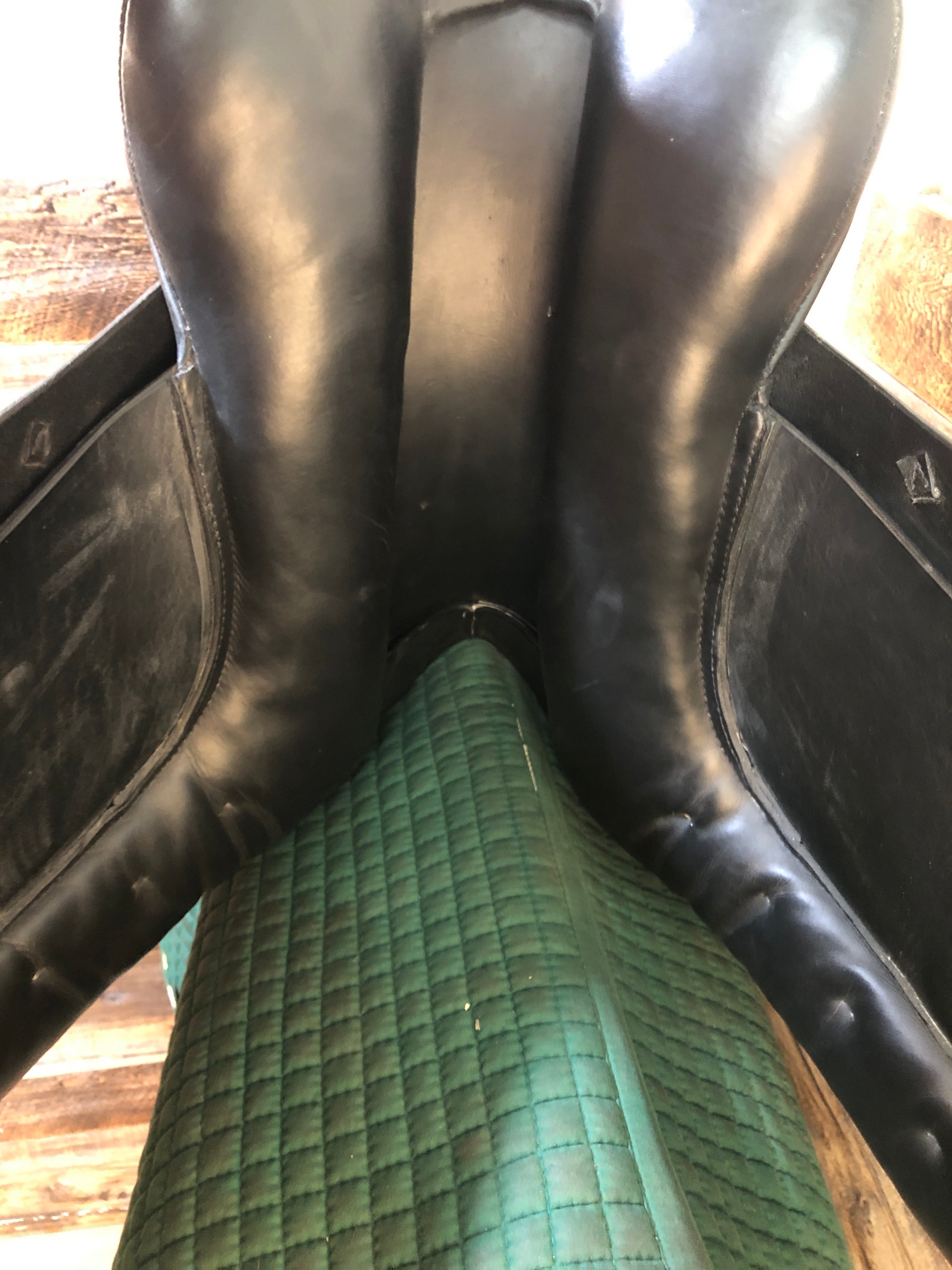 17.5" Circuit Dressage V Billetts