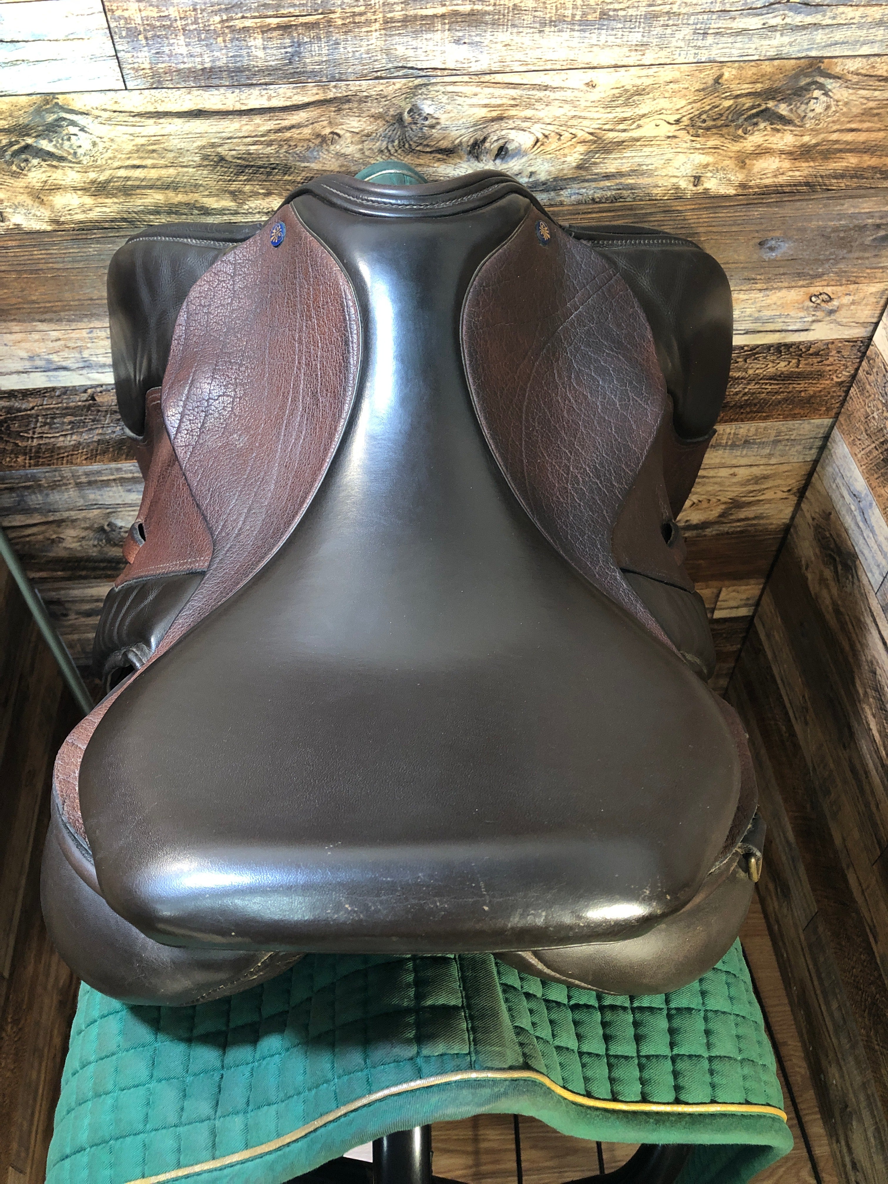 17.5" Detente Jump Saddle