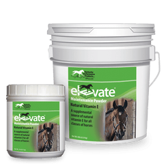 ELEVATE MAINTENANCE POWDER 10lb