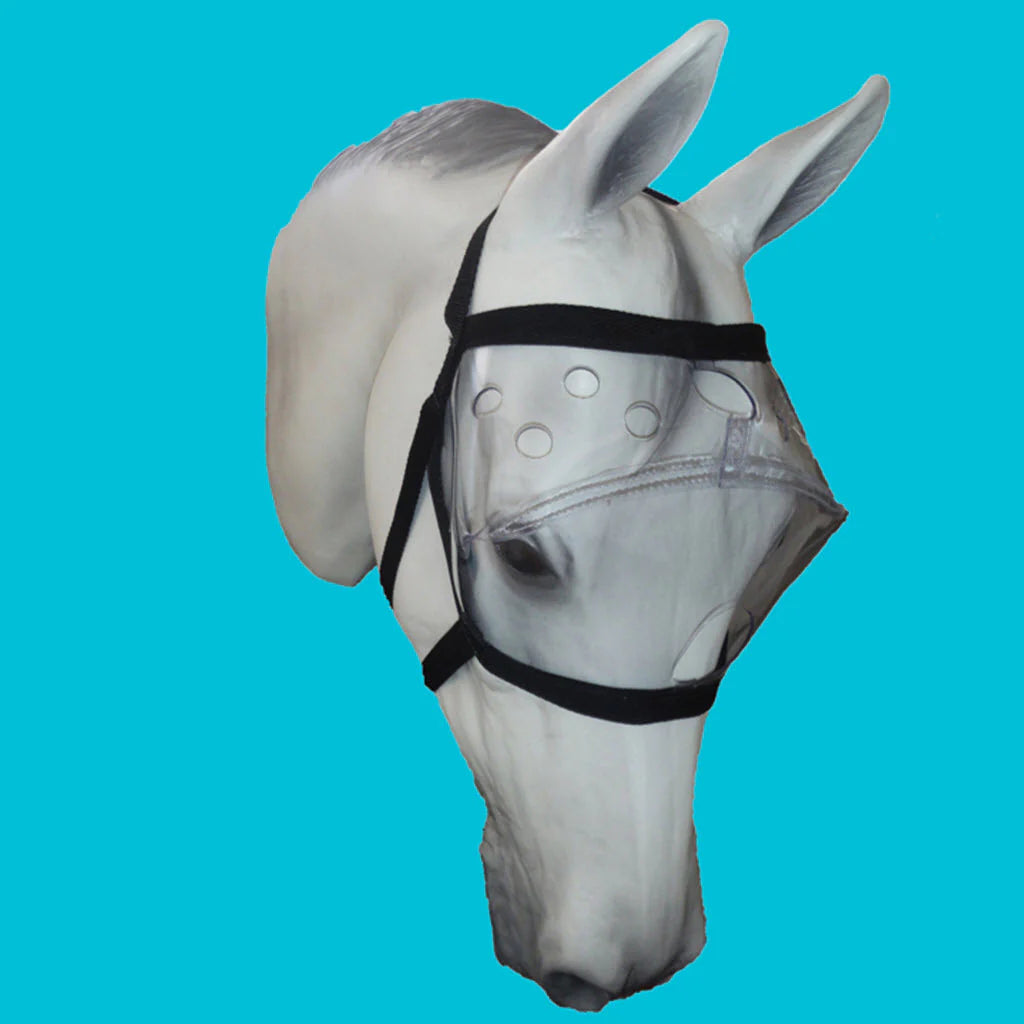 Recovery Vizor Clear UV Tint