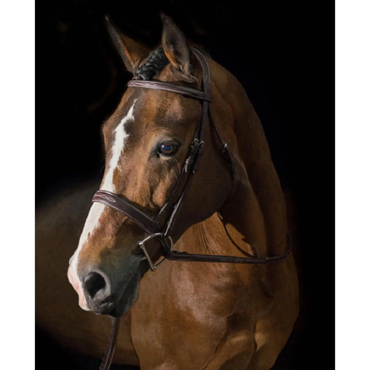 Pessoa Pro FS Wide Nose Bridle