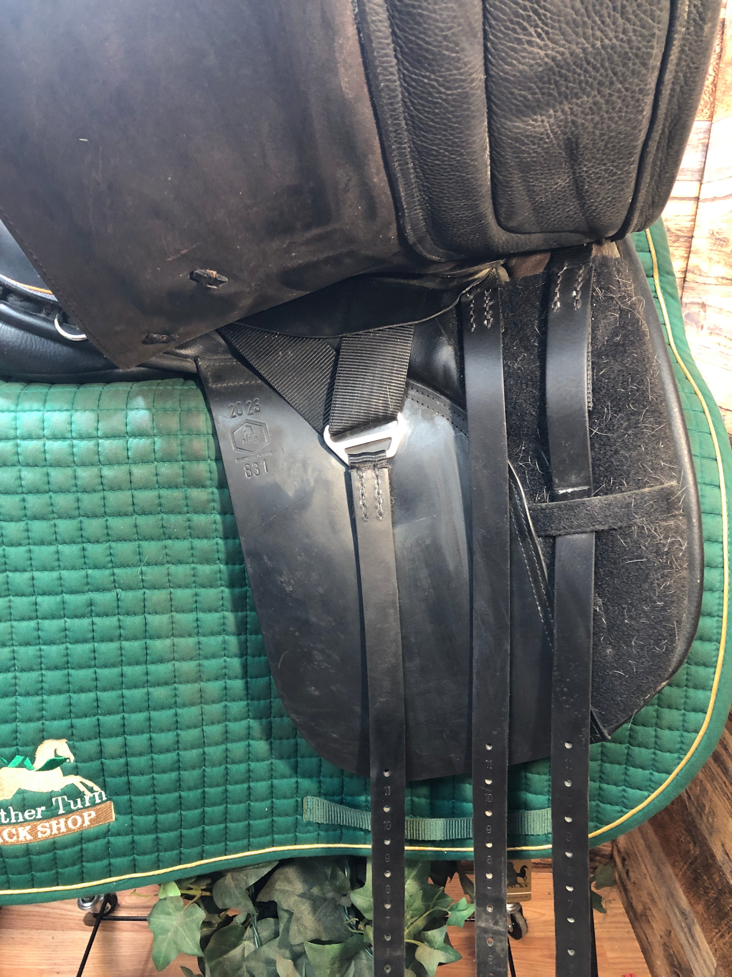 18.5" Hastilow Cob Dressage Saddle (2023) Blk/Brn/ Amber Pip