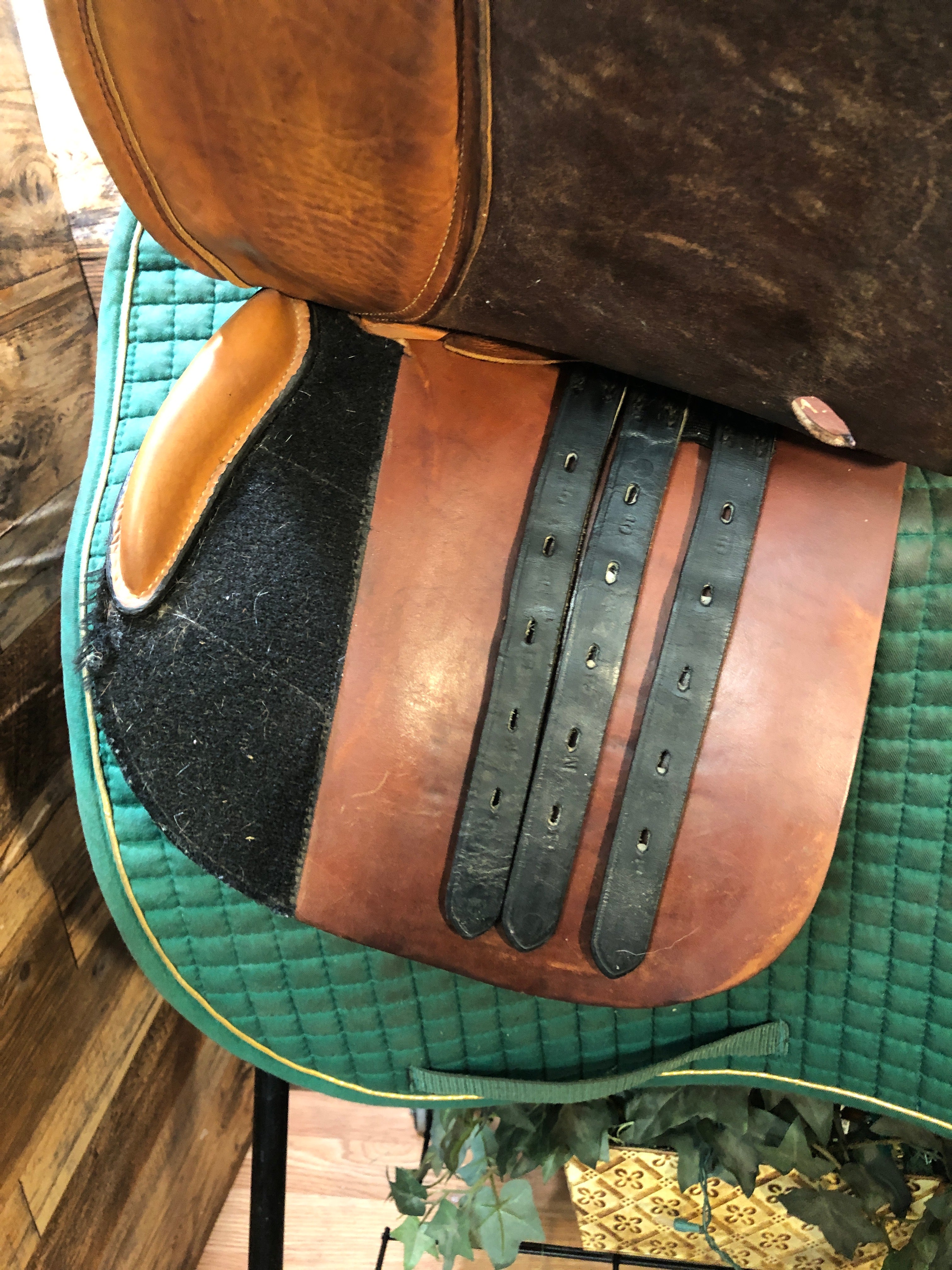 15" M Toulouse Jump Saddle