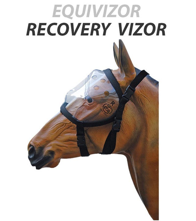 EquiVizor Recovery Vizor