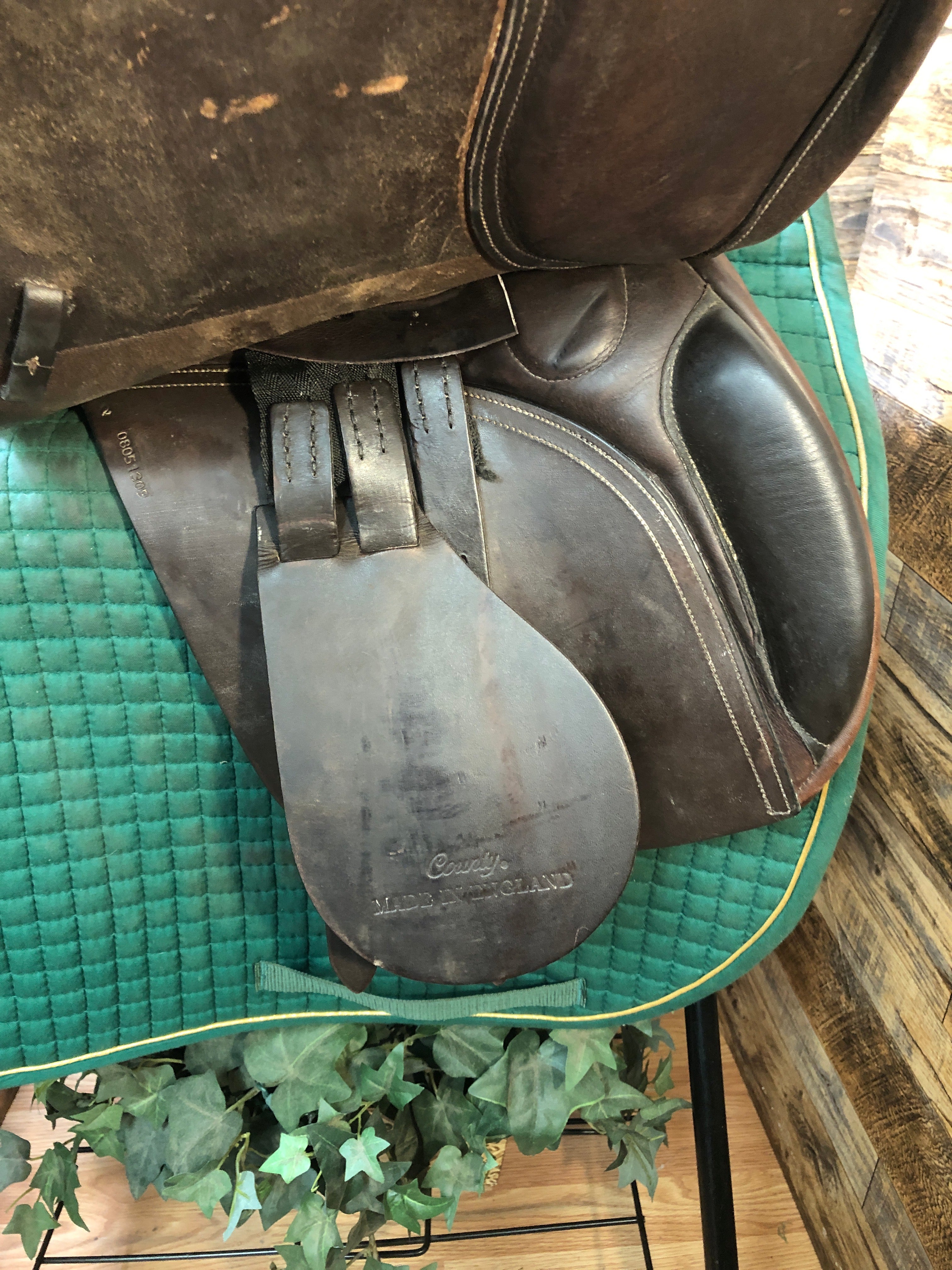 17.5" County Eventer - Spring Tree