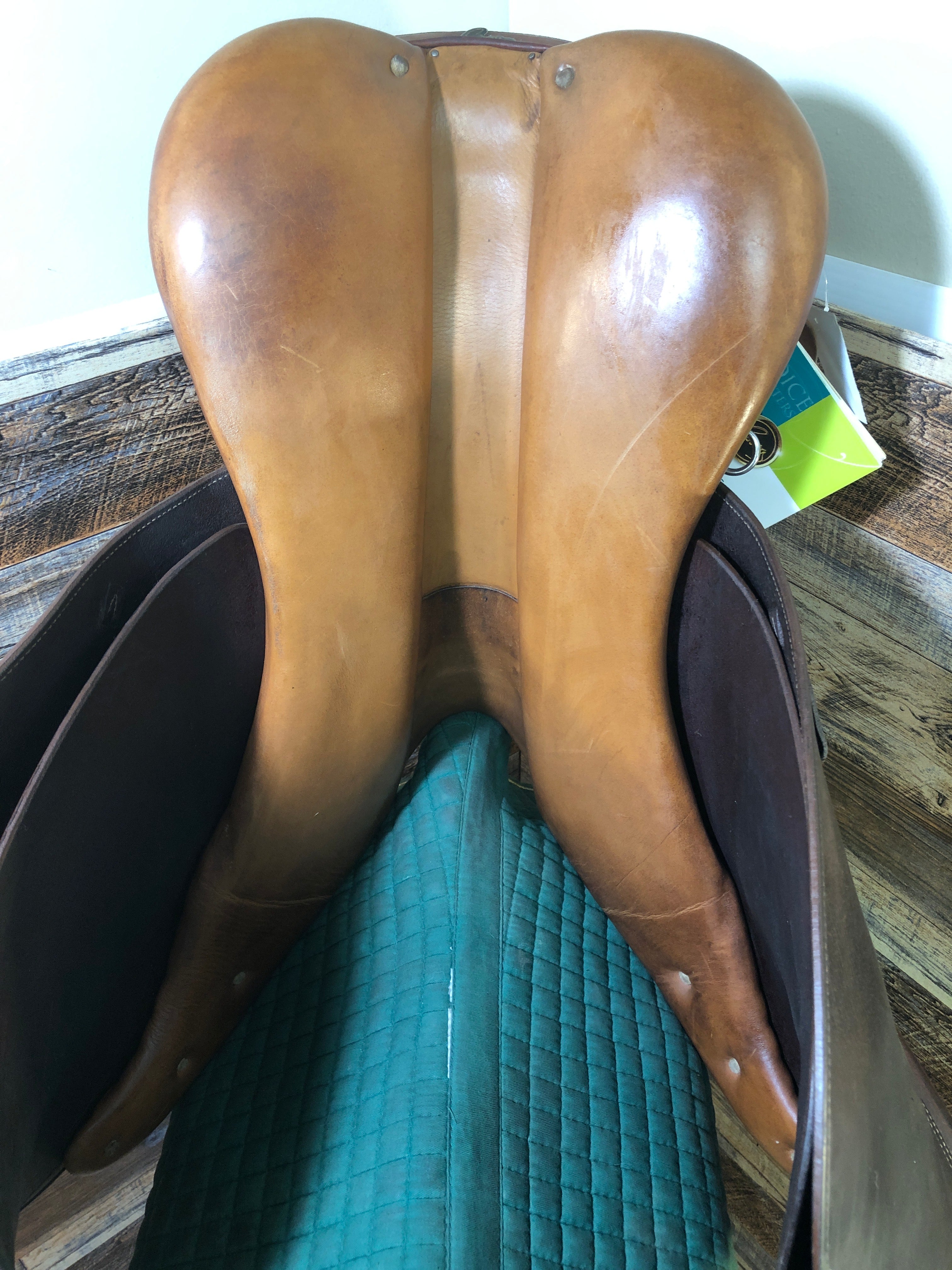 17" Pessoa Rodrigo Saddle