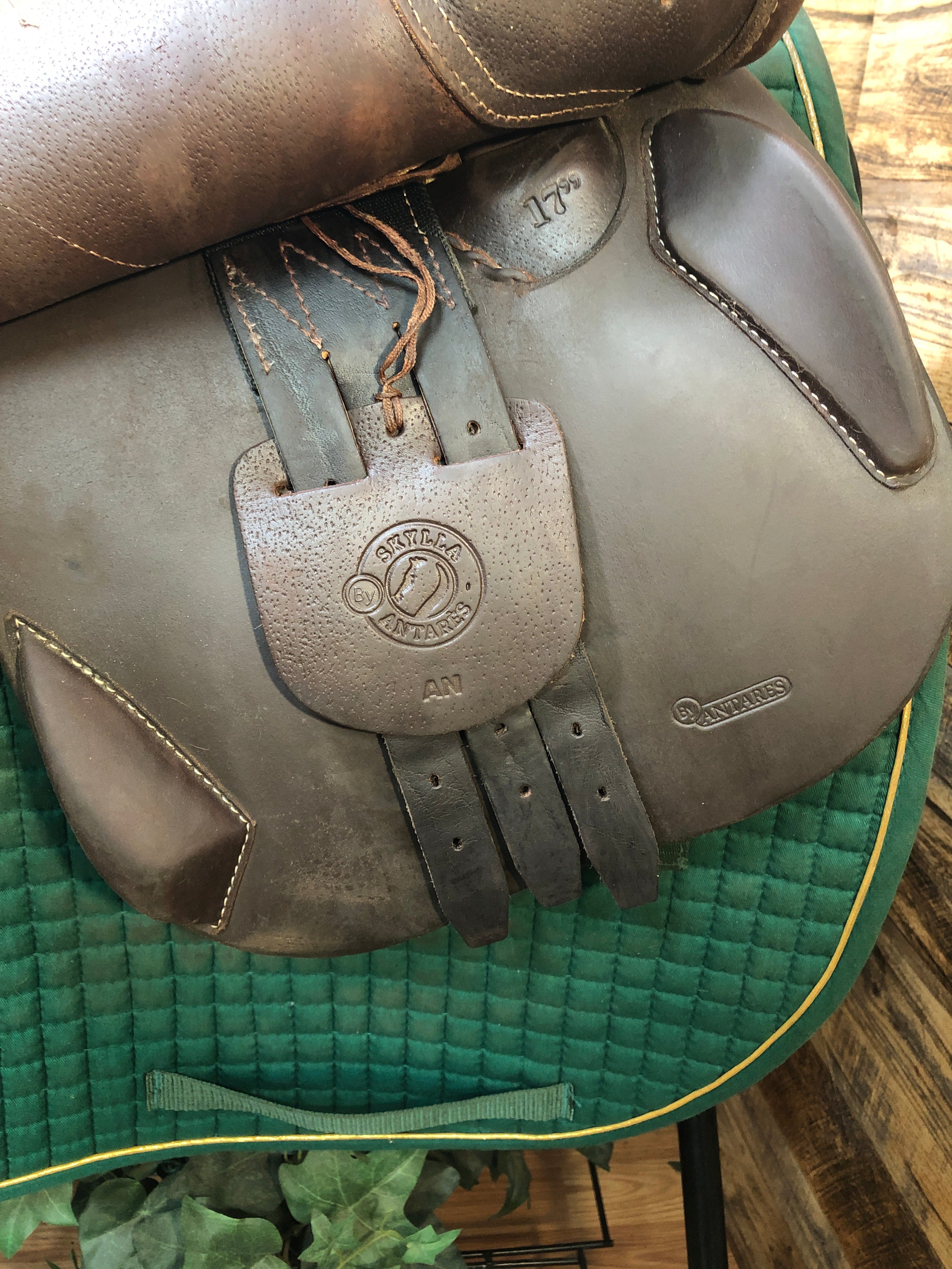17" Antares Close Contact Saddle