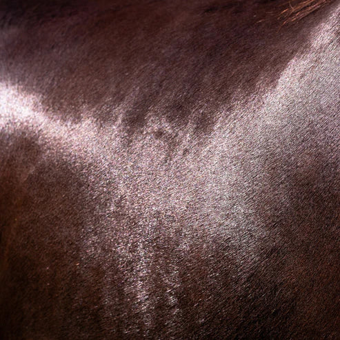 Natural Horse shampoo 250ml