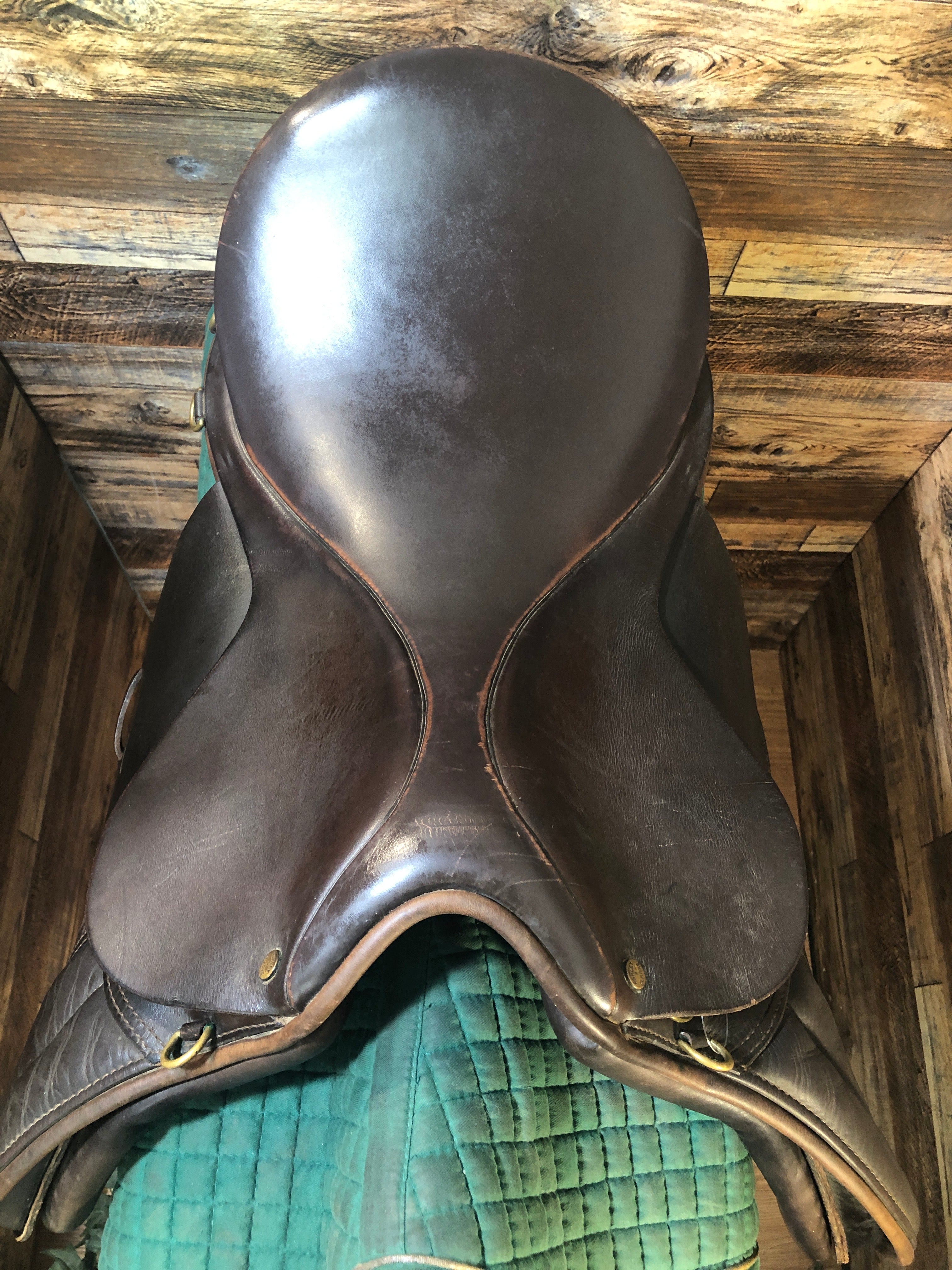 17.5" Ashley & Clarke Stoneleigh All Purpose Saddle