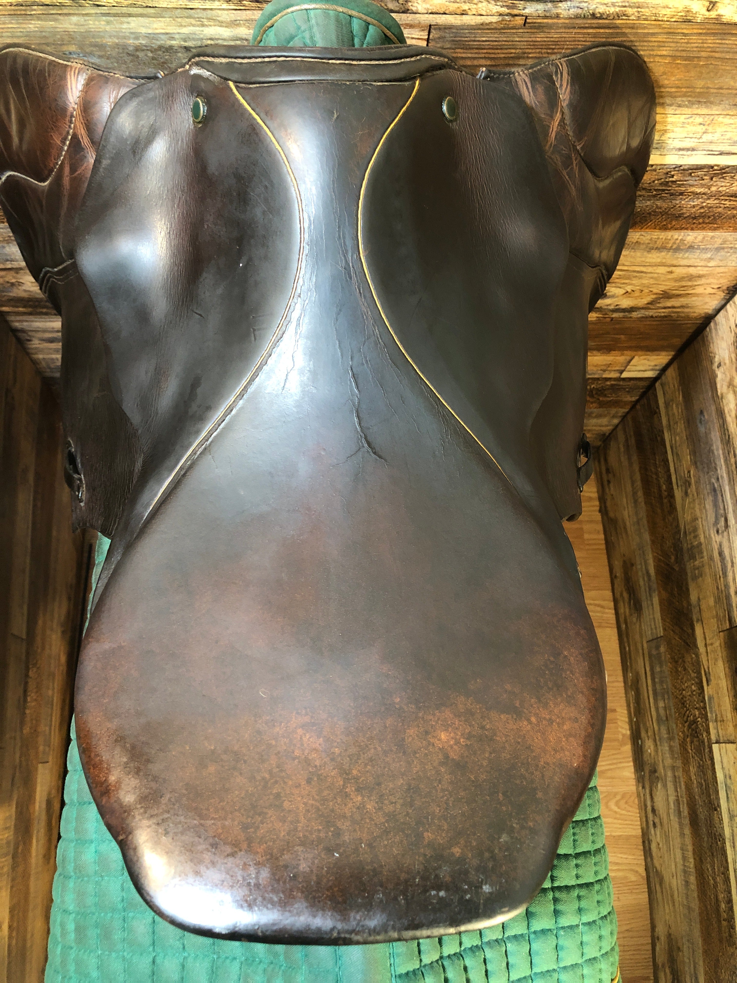 17.5" Stubben Sigfried Jump 5.5" Tree/135" Flp