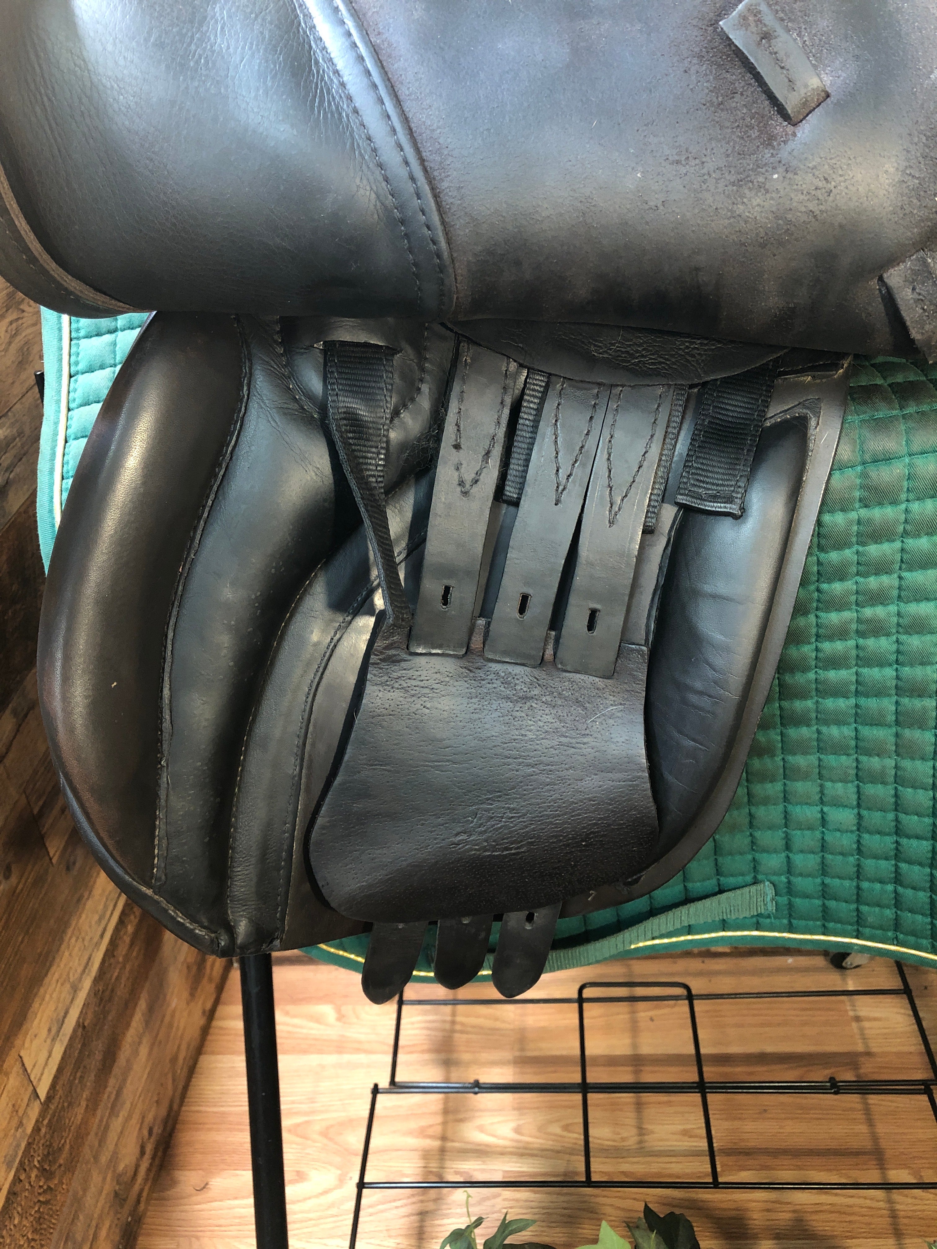 17.5" Black Country GP Saddle (2013)