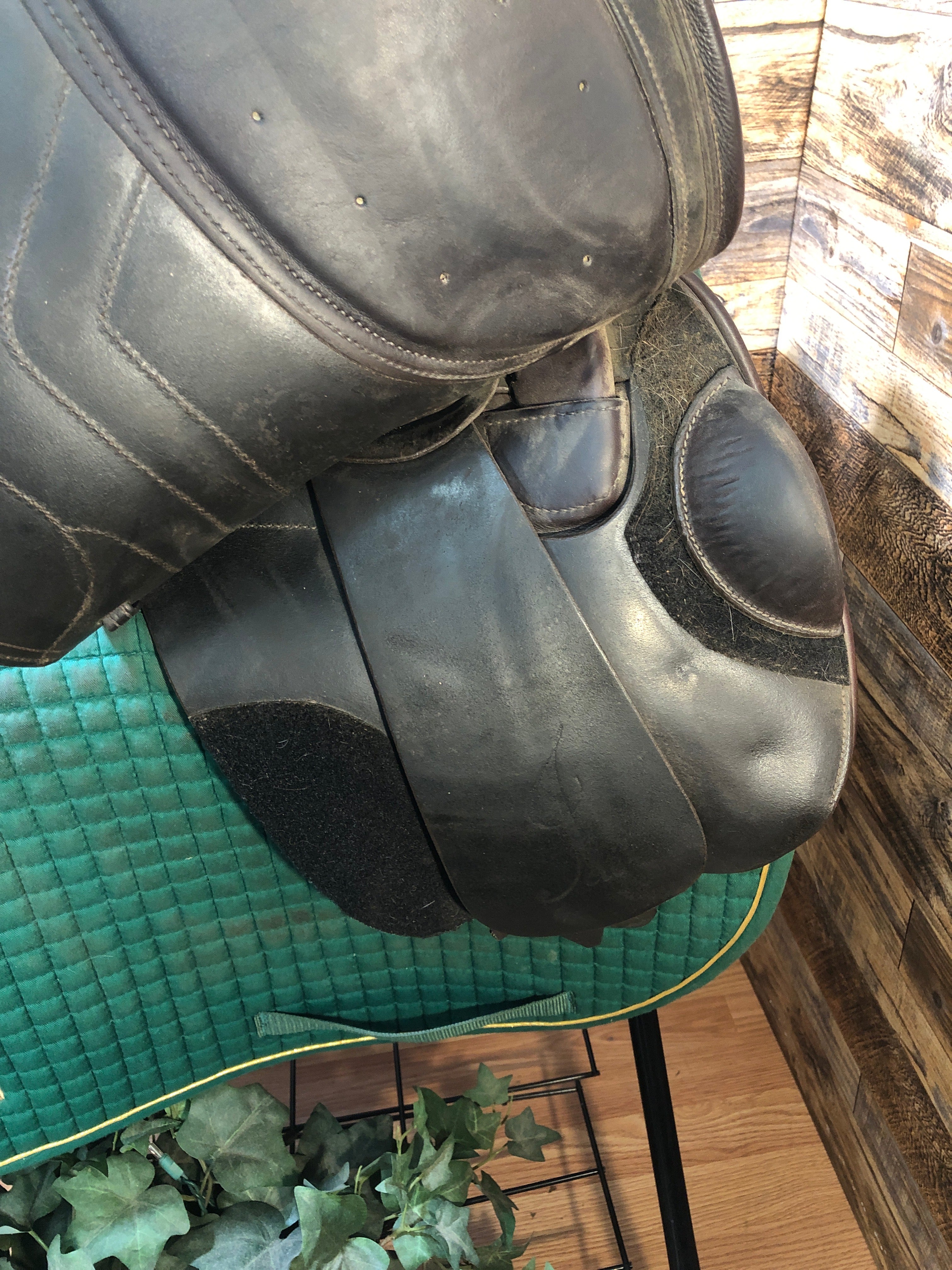 17" Schleese Jete Jump Saddle