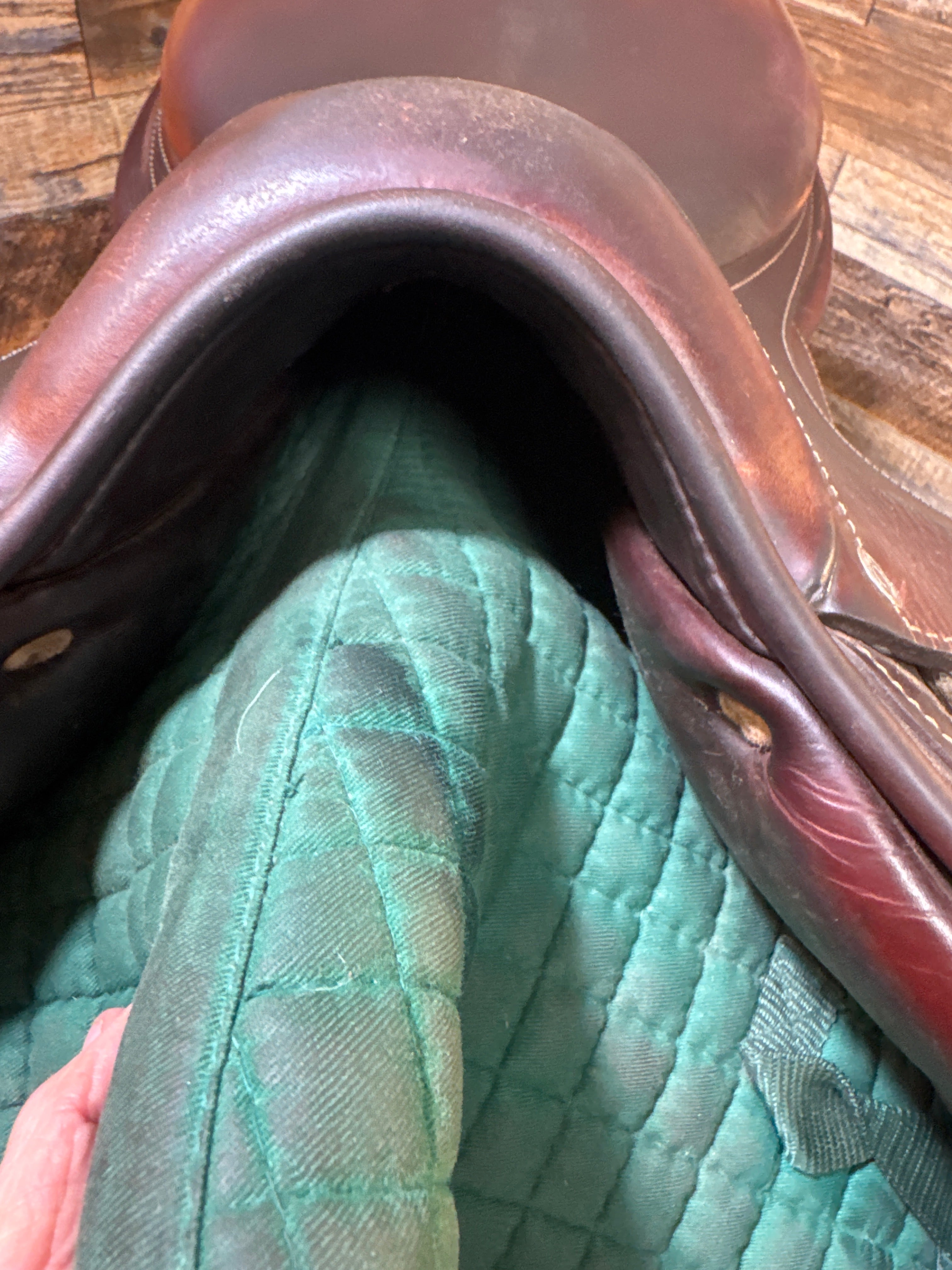 17" Antares Jump Saddle