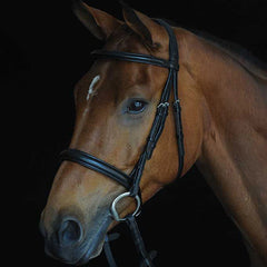 Collegiate Comfort Crown Padded Raised Flash Bridle