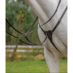 Avignon 3 Point Breastplate