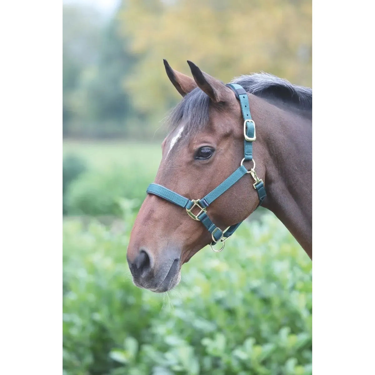 Topaz Breakaway Nylon Halter