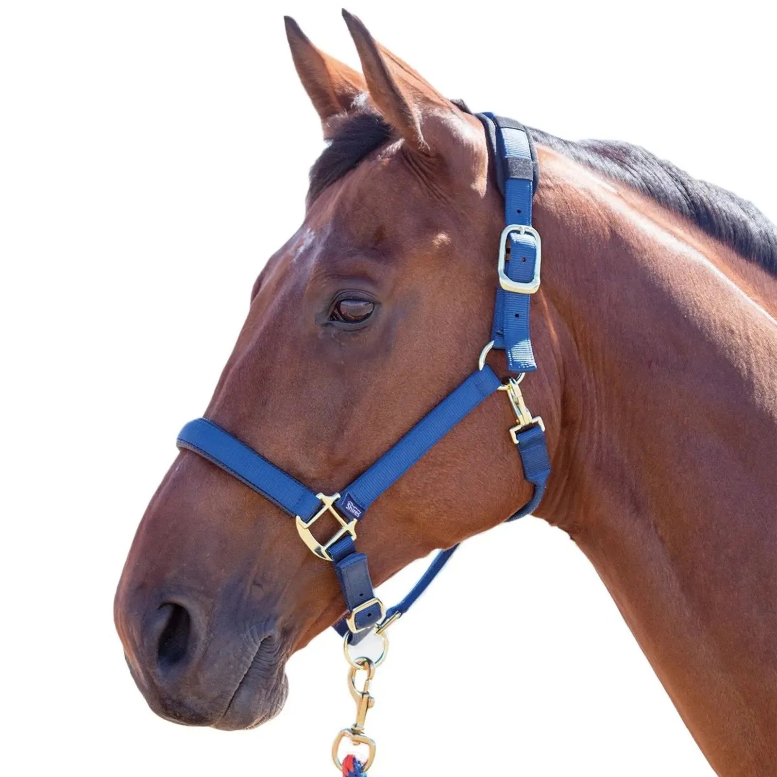 Topaz Breakaway Nylon Halter