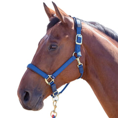 Topaz Breakaway Nylon Halter