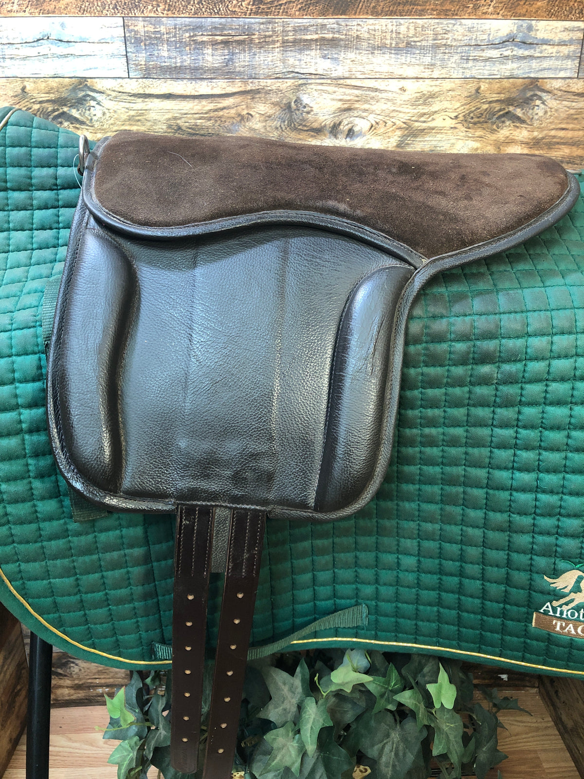 Velociti GARA Pony Pad Havana